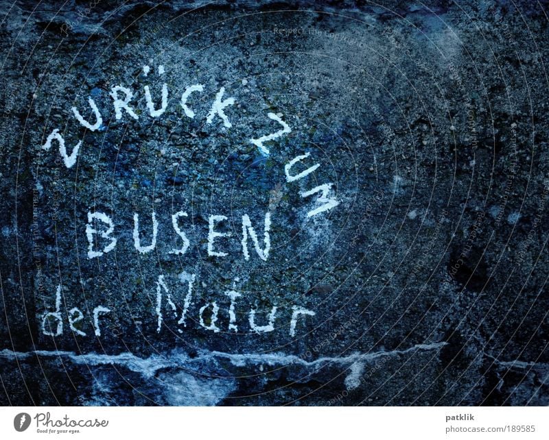 Back to the boobs Stein Schriftzeichen einfach einzigartig natürlich Freude Interesse Frauenbrust Natur Zeitreise Furche Gravur Felsen Kletterwand Bogen