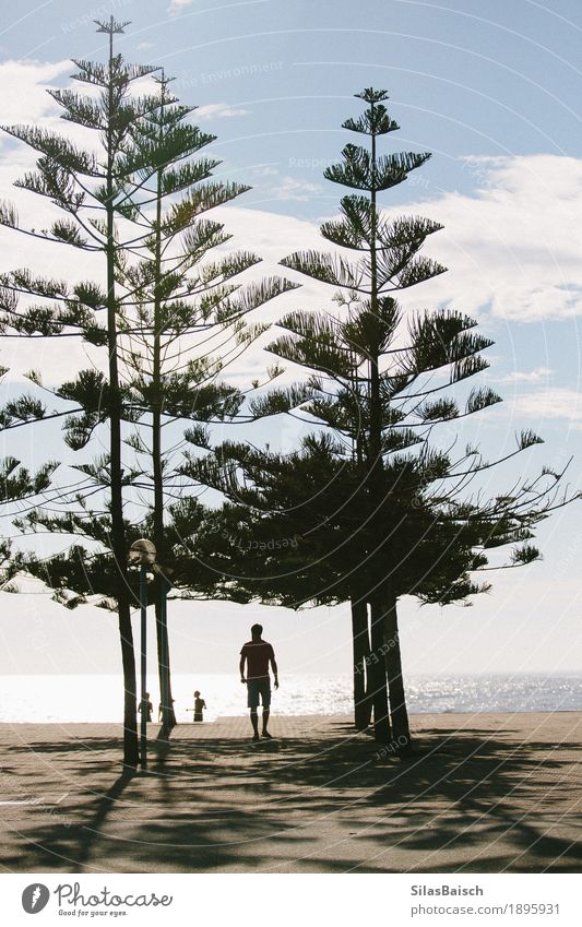 Strandtag Lifestyle exotisch Freude Wellness Leben harmonisch Wohlgefühl Erholung Meditation Ferien & Urlaub & Reisen Tourismus Ferne Freiheit Sommer