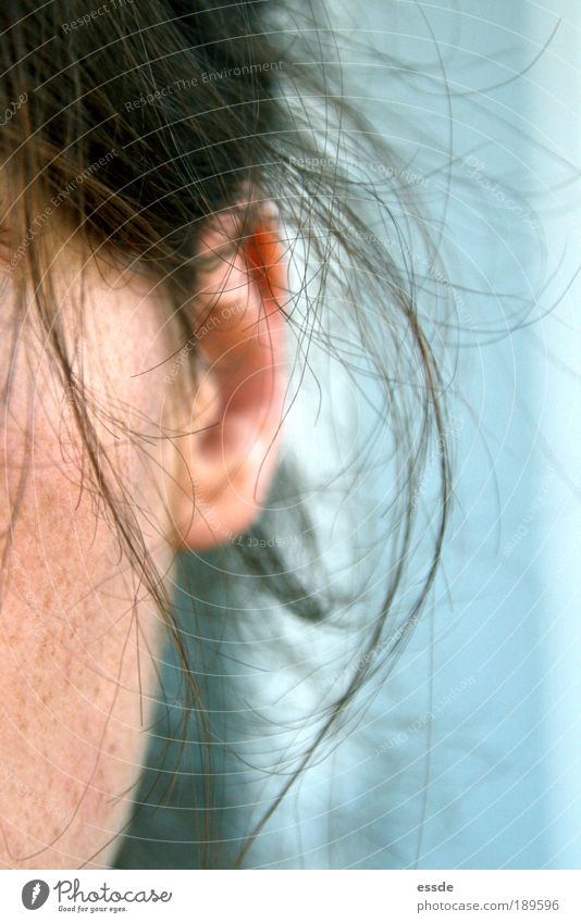 hörsinn feminin Haut Haare & Frisuren Ohr brünett langhaarig Denken hören warten authentisch einfach nah Originalität rebellisch blau rosa Tatkraft achtsam