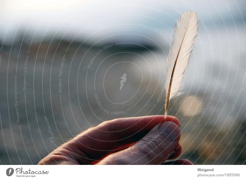 federschwer harmonisch Zufriedenheit Sinnesorgane Erholung ruhig Meditation Winter Hand Finger Denken Kraft Willensstärke Mut Leidenschaft Akzeptanz Vertrauen