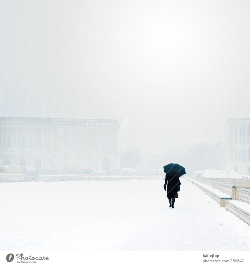 wetterfee Mensch Frau Erwachsene Rücken 1 Umwelt Wolken Winter Klima Wetter schlechtes Wetter Nebel Regen Eis Frost Schnee Park Stadt Hauptstadt Haus Verkehr