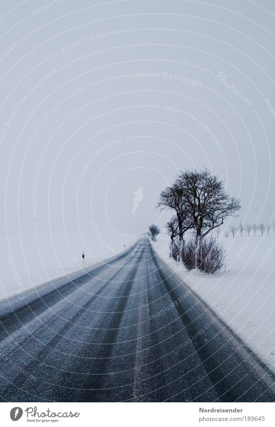 Winterblues Schnee Verlierer Umwelt Natur Landschaft Urelemente Klima Wetter schlechtes Wetter Baum Verkehr Verkehrswege Straßenverkehr Autofahren Wege & Pfade