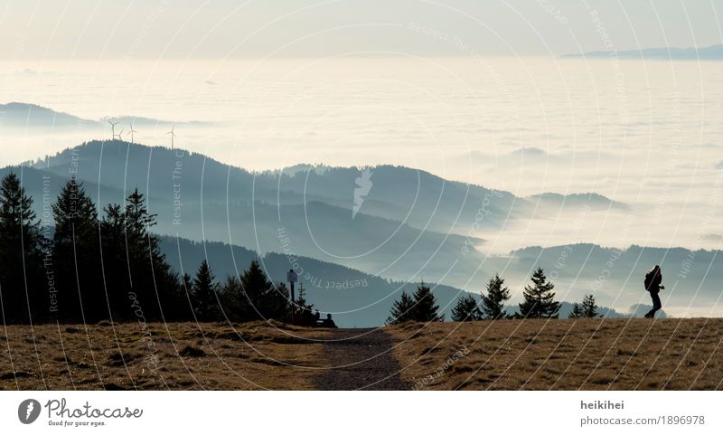 Kandel Mensch feminin Frau Erwachsene 30-45 Jahre Landschaft Himmel Horizont Herbst Winter Schönes Wetter Nebel Baum Wiese Hügel Berge u. Gebirge wandern blau