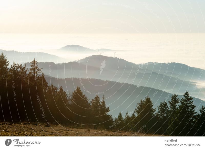 ~~~ Natur Landschaft Pflanze Tier Himmel Wolken Horizont Sonne Herbst Winter Schönes Wetter schlechtes Wetter Nebel Baum Berge u. Gebirge Ferne groß natürlich