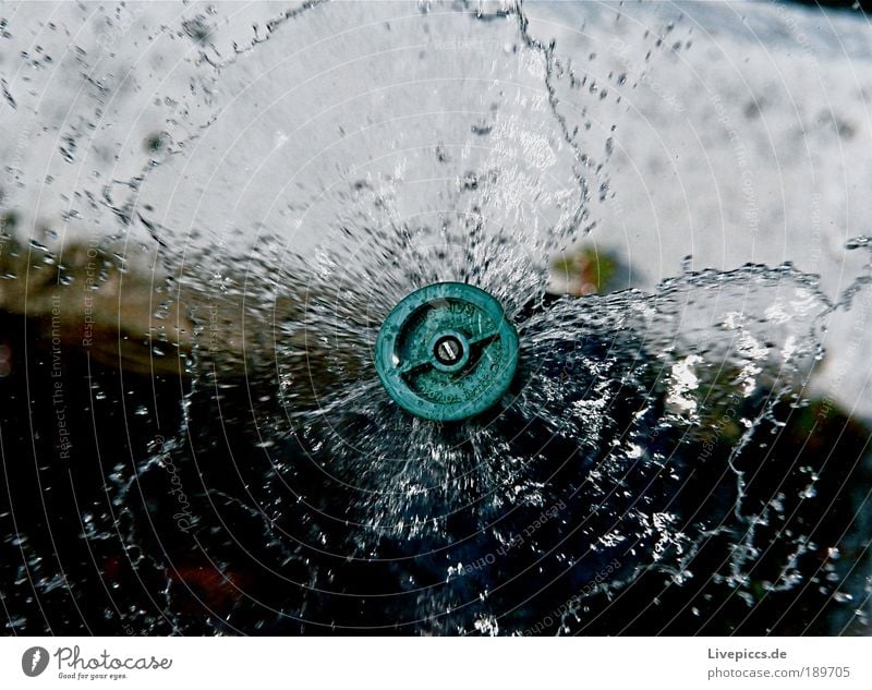 Sprinkleranlage Wasser Wassertropfen Bewegung Flüssigkeit nass Farbfoto Außenaufnahme Menschenleer Morgen Froschperspektive Blick nach unten Tag