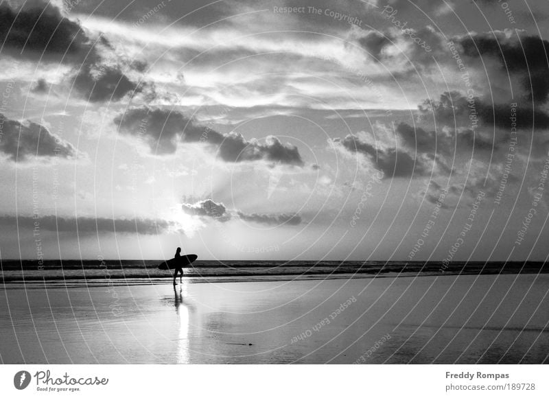 Nach dem Surfen Freizeit & Hobby Sport Mensch 1 Natur Landschaft Strand Freude Tourismus Schwarzweißfoto Außenaufnahme Morgendämmerung