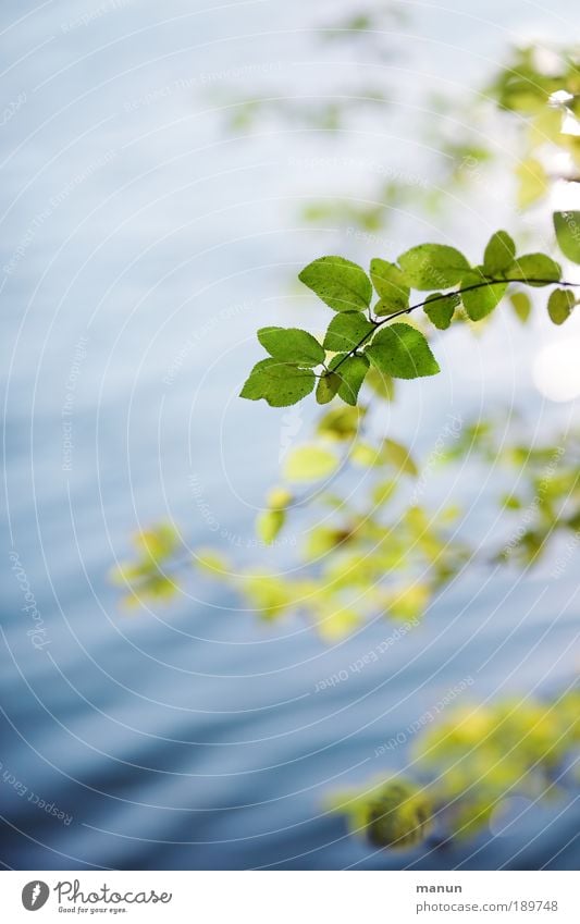 verweile... harmonisch Wohlgefühl Zufriedenheit Erholung ruhig Gartenarbeit Natur Wasser Frühling Sommer Herbst Schönes Wetter Blatt Zweige u. Äste Park Wellen