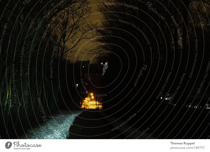 Am Ende orange Umwelt Landschaft Himmel Nachthimmel Winter Eis Frost Schnee Pflanze Baum Feld Stadtrand Menschenleer Verkehrswege Wege & Pfade Wegkreuzung