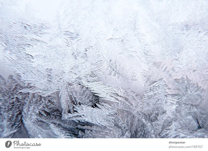 Arschkalt in Berlin II Thermometer Energiewirtschaft Natur Wasser Wassertropfen Winter Klima Klimawandel Wetter Schönes Wetter schlechtes Wetter Eis Frost