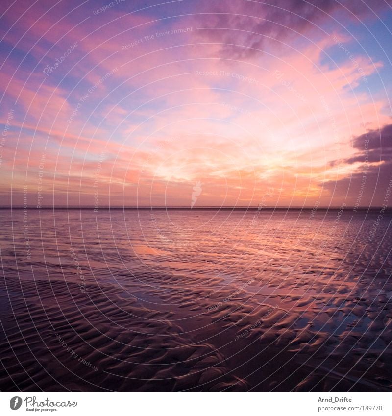 Watt harmonisch ruhig Ferne Strand Natur Landschaft Sand Wolken Sonnenaufgang Sonnenuntergang Wetter Wellen Küste Nordsee Wege & Pfade Unendlichkeit blau rosa