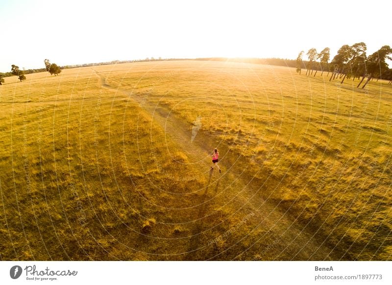 A female athlete is running into sundown across grassland Sport Frau Erwachsene Natur laufen rennen Sonnenuntergang Trail Training Trees Wide Angle Aktion