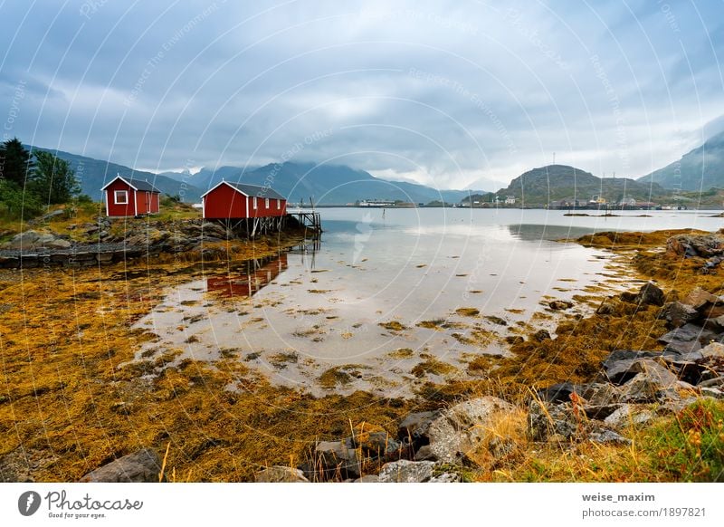 Norwegische Hütte Rorbu auf Buchtküste. Nordischer bewölkter Sommertag Ferien & Urlaub & Reisen Tourismus Ausflug Abenteuer Ferne Freiheit Sommerurlaub Meer