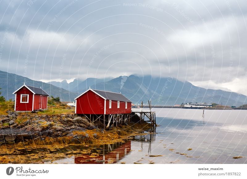 Norwegische Hütte Rorbu auf Buchtküste. Nordischer bewölkter Sommertag Tourismus Ausflug Abenteuer Ferne Freiheit Sommerurlaub Meer Insel Berge u. Gebirge Haus