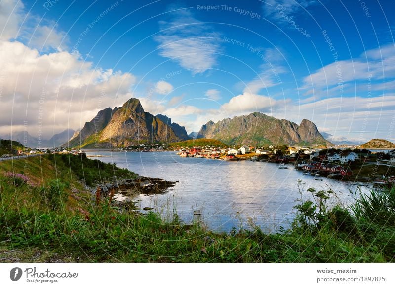 Norwegen-Dorf Reine auf einem Fjord. Nordischer bewölkter Sommertag. Ferien & Urlaub & Reisen Tourismus Ausflug Abenteuer Freiheit Meer Insel Berge u. Gebirge