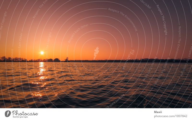 Sonnenuntergang am See Umwelt Wasser Himmel Wolkenloser Himmel Sonnenaufgang Sonnenlicht Sommer Schönes Wetter Pflanze Baum Seeufer Einsamkeit Isarstausee