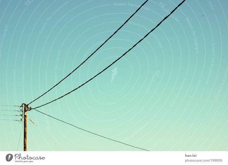 Strommast Industrie Kabel Wolkenloser Himmel Holz bauen Kommunizieren blau Elektrizität Hochspannungsleitung Telefonkabel Schönes Wetter Farbfoto Außenaufnahme