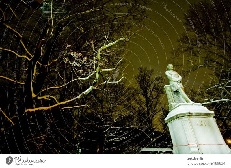 Denkmal Berlin Tiergarten Dezember general Militär Soldat Krieg Sockel Nacht Schnee Winter kalt Park Wald Baum Ast