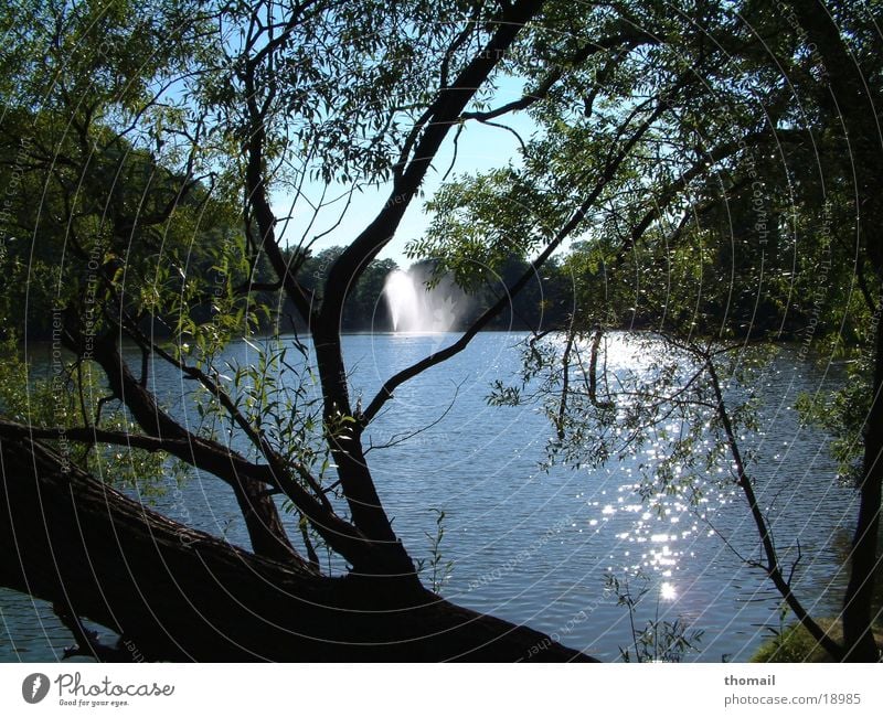 Teich mit Fontäne See Gewässer Springbrunnen Wasserfontäne Sommer frisch wasserföntäne Spaziergang Schönes Wetter