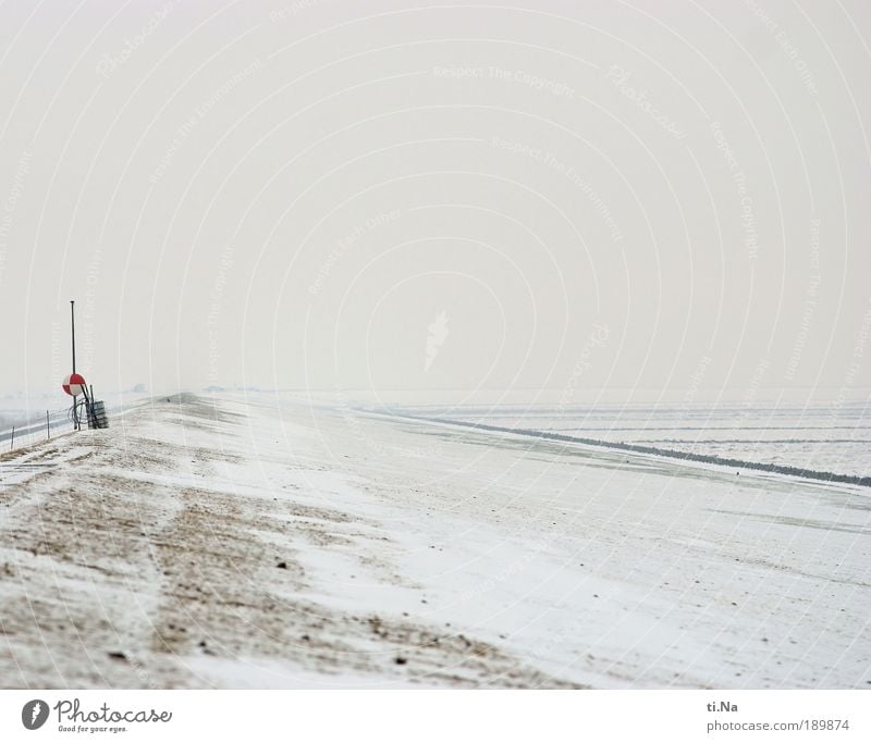 Meldorfer Bucht Tourismus Freiheit Winter Schnee Weltkulturerbe Umwelt Landschaft Pflanze Klima Eis Frost Ebbe Strand Nordsee Meer Unendlichkeit natürlich weiß