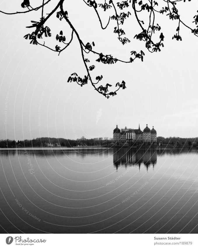 Drei Haselnüsse für Aschenbrödel Tourismus Sightseeing Städtereise Haus Skulptur Burg oder Schloss Bauwerk Sehenswürdigkeit Denkmal alt historisch Design Kultur