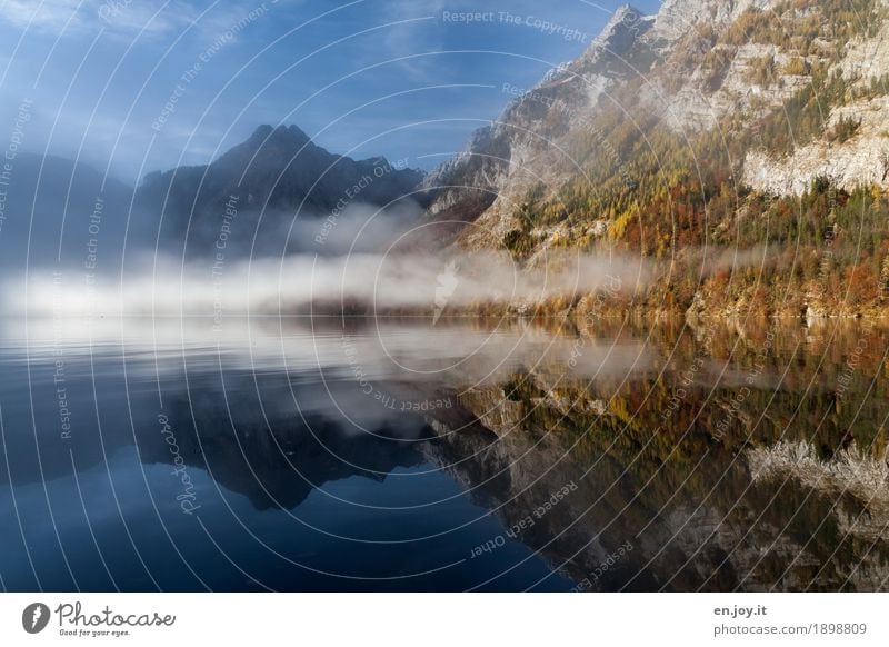 umhüllt Ferien & Urlaub & Reisen Ferne Natur Landschaft Himmel Herbst Nebel Berge u. Gebirge Watzmann Gipfel Seeufer Königssee blau Traurigkeit Trauer Sehnsucht