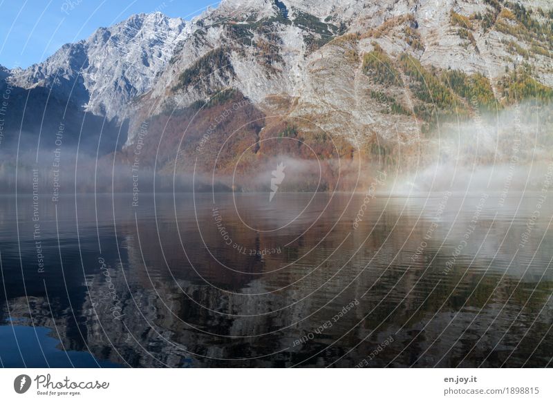 Herrrbscht Ferien & Urlaub & Reisen Natur Landschaft Herbst Nebel Felsen Alpen Berge u. Gebirge Berchtesgadener Alpen Bayern Oberbayern Watzmann Seeufer