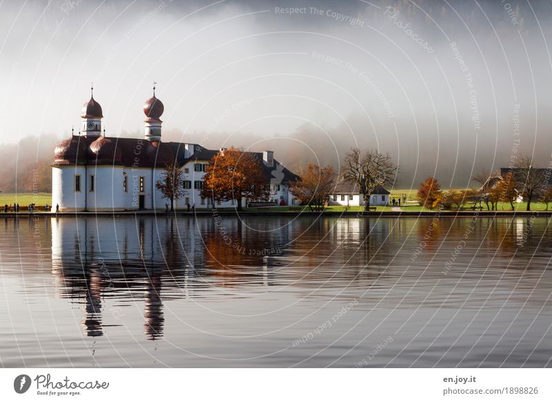 berühmt Ferien & Urlaub & Reisen Tourismus Ausflug Herbst Nebel Baum Park Seeufer Königssee St. Bartholomä Bayern Oberbayern Deutschland Europa Kirche Kapelle