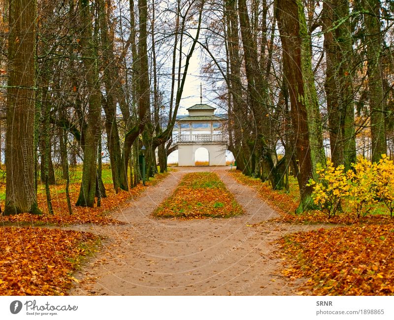 Herbst im Park Garten Umwelt Natur Landschaft Baum Blatt Wald natürlich gelb Gasse fallen November Oktober Pavillon Szene Jahreszeiten Gartenhaus Farbfoto