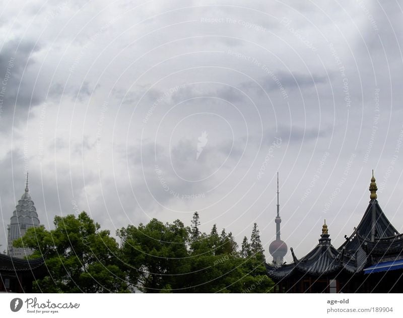 Kontraste-Shanghai Ferien & Urlaub & Reisen Bildung Bildungsreise Technik & Technologie Kultur Fernsehen Pflanze Himmel Baum China Altstadt Skyline Dach