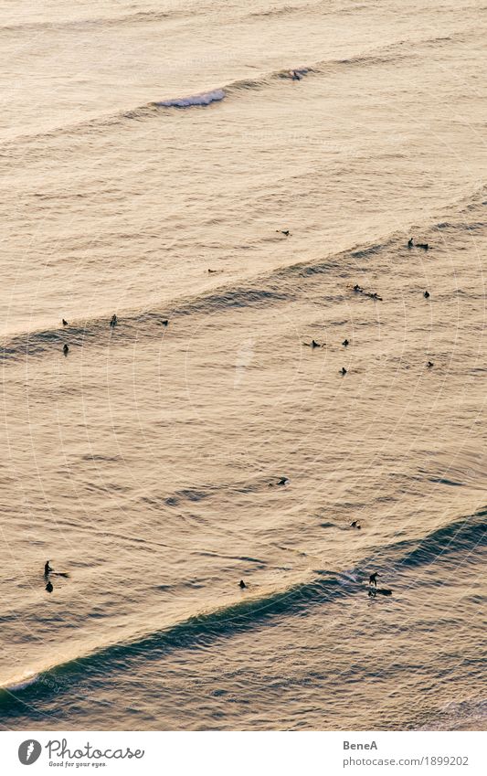 Surfing in Lima Freude Erholung Sport Mensch Freiheit Freizeit & Hobby Aktion Peru Sonnenuntergang Surfen Surfer Luftaufnahme Athlet Sportler genießen