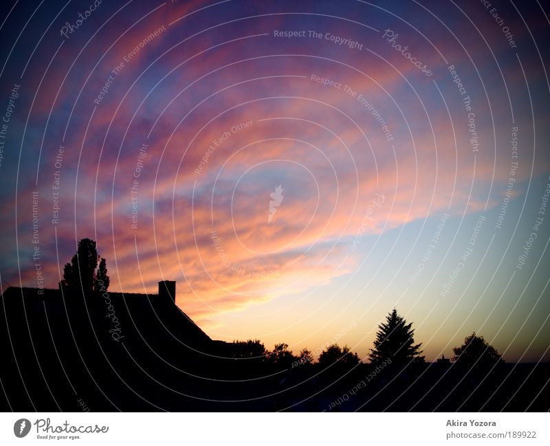 Die Nacht ruft Himmel Wolken Nachthimmel Horizont Sonnenaufgang Sonnenuntergang Wetter Baum Stadt Skyline beobachten Erholung ästhetisch elegant fantastisch