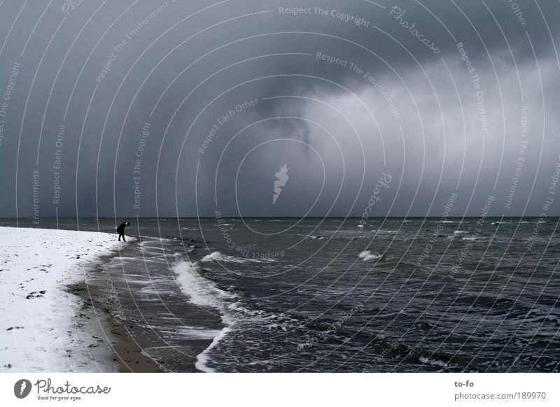 Am Meer Strand Winter Schnee Mensch 1 Natur Landschaft Luft Wasser Wolken Gewitterwolken Klima Wetter Unwetter Wind Sturm Regen Küste Ostsee Stimmung Farbfoto