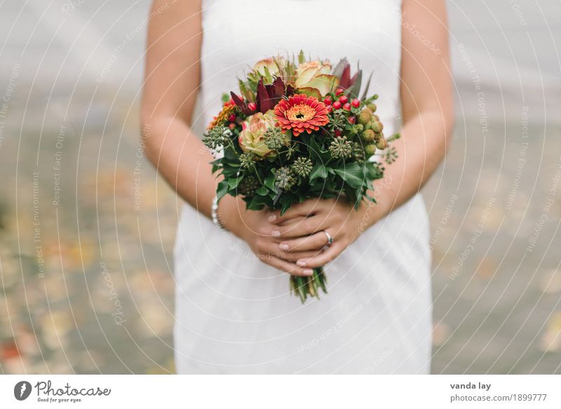 Hochzeit Feste & Feiern Junge Frau Jugendliche Erwachsene Hand 1 Mensch 18-30 Jahre Blume Gerbera Rose Vorfreude Einigkeit Beginn Religion & Glaube Leben Liebe