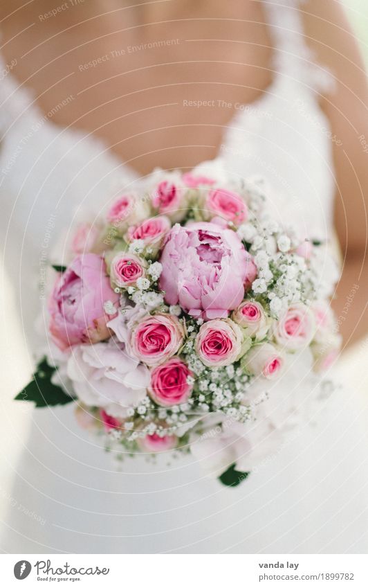 Brautstrauß Hochzeit feminin Junge Frau Jugendliche Erwachsene Leben 1 Mensch Blume Rose Pfingstrose Schleierkraut Blumenstrauß Liebe Religion & Glaube Kitsch