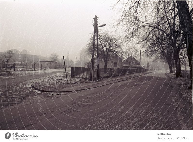 Dorf Straße Straßenverkehr Dorfstraße Wege & Pfade Abzweigung Gabel Verschiedenheit abbiegen Verkehr Herbst Oktober November Nebel Bauernhaus Hof Brandenburg