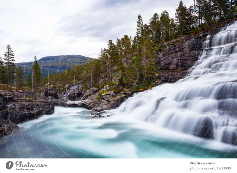 Idylle Ferien & Urlaub & Reisen Tourismus Abenteuer Ferne Natur Landschaft Urelemente Wasser Frühling Sommer Klima Wetter Wald Felsen Berge u. Gebirge Fluss