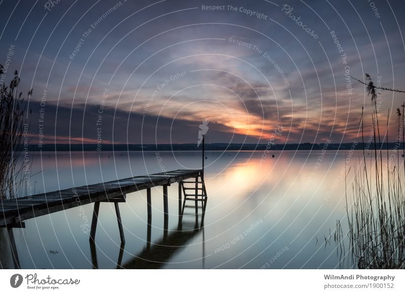 Absolute Ruhe Sonne Landschaft Wasser Himmel Wolken Sonnenaufgang Sonnenuntergang Frühling Seeufer Schwimmen & Baden genießen träumen Stimmung Zufriedenheit