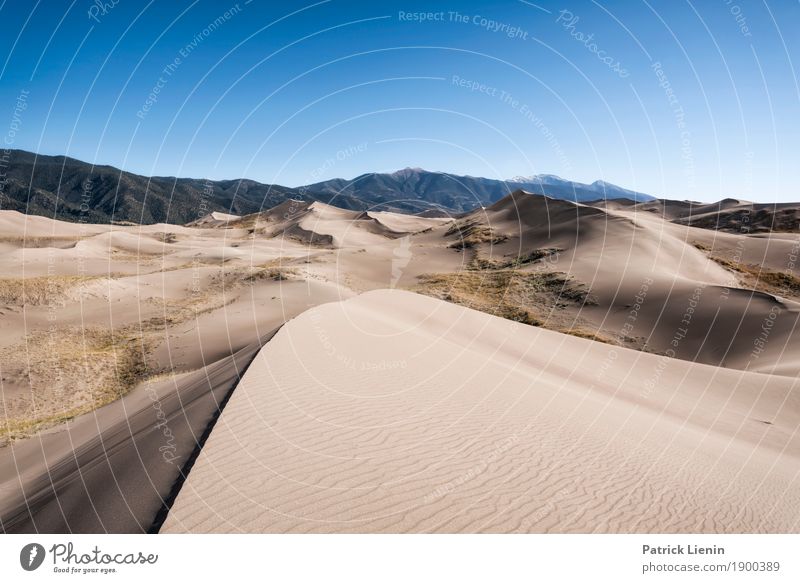 Great Sand Dunes National Park, Colorado Zufriedenheit Sinnesorgane Erholung Ferien & Urlaub & Reisen Tourismus Ausflug Abenteuer Ferne Expedition Sommer