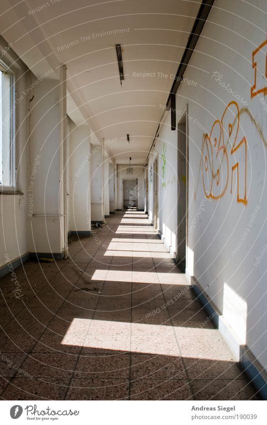 Der Gang. Häusliches Leben Wohnung Haus Hausbau Renovieren Umzug (Wohnungswechsel) Stadtrand Gebäude Architektur Mauer Wand Fenster Fliesen u. Kacheln Stein