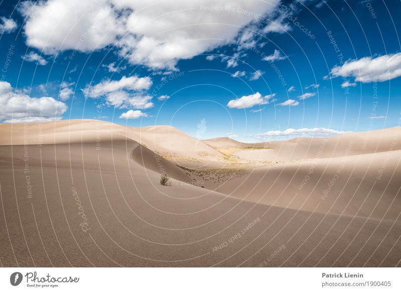 Great Sand Dunes National Park, Colorado Wohlgefühl Zufriedenheit Sinnesorgane Erholung ruhig Meditation Ferien & Urlaub & Reisen Ferne Freiheit Expedition