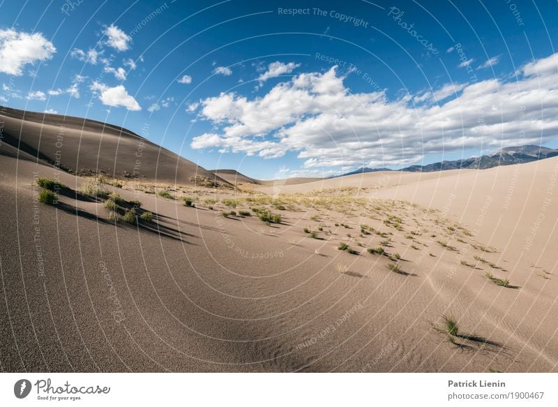 Great Sand Dunes National Park, Colorado Wohlgefühl Sinnesorgane Erholung ruhig Ferien & Urlaub & Reisen Ausflug Abenteuer Ferne Freiheit Expedition Camping