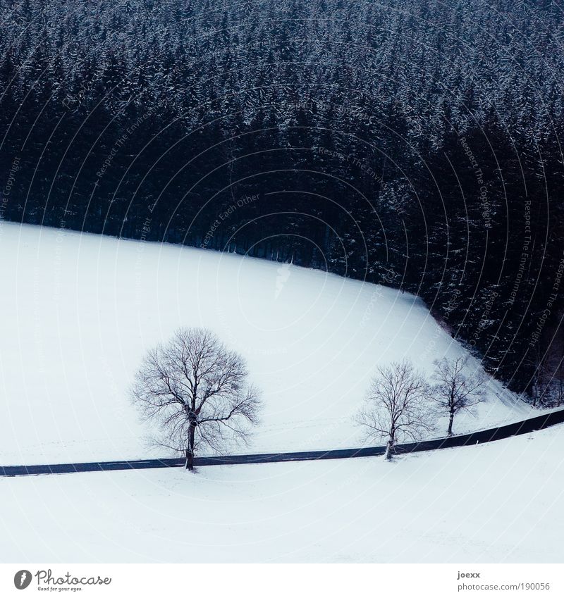 Oben Winter Schnee Natur Landschaft Pflanze Erde Baum Wald Straße Luftverkehr frei kalt Schweben Vogelperspektive die da unten Nadelwald Schwarzwald Farbfoto