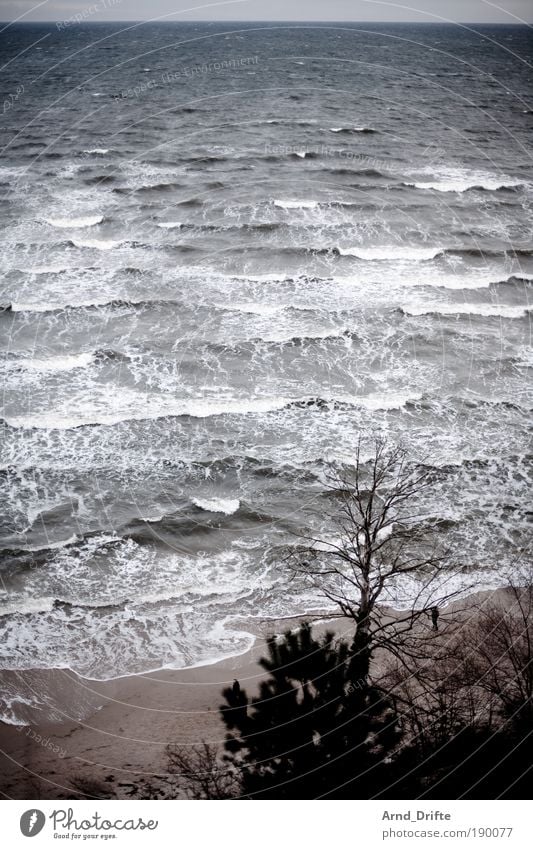 Winterstrand Kur Ferien & Urlaub & Reisen Ferne Strand Meer Wellen Natur Landschaft Sand Wasser Wind Küste Ostsee Fernweh Einsamkeit ostseebad Rügen Farbfoto