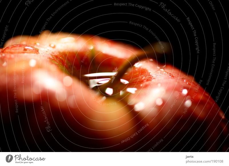 VITAMIN A pfel Lebensmittel Frucht Apfel Gesundheit frisch rund saftig Spitze rot genießen Vitamin jarts Farbfoto Studioaufnahme Nahaufnahme Detailaufnahme