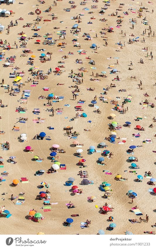 Ausruhen am Strand von Nazaré Strandleben Ausflug Herausforderung Freizeit & Hobby Badestelle wasser liebend Meeresstrand Erholung Schwimmen & Baden