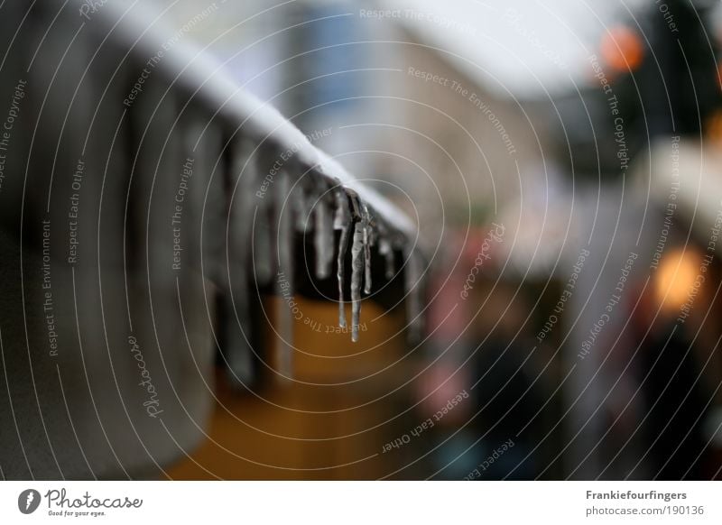 Zapfenstreich Urelemente Wasser Eis Frost Menschenleer Mauer Wand Dach Dachrinne berühren frieren hängen kalt natürlich blau 50mm Unschärfe Eiszapfen Dresden