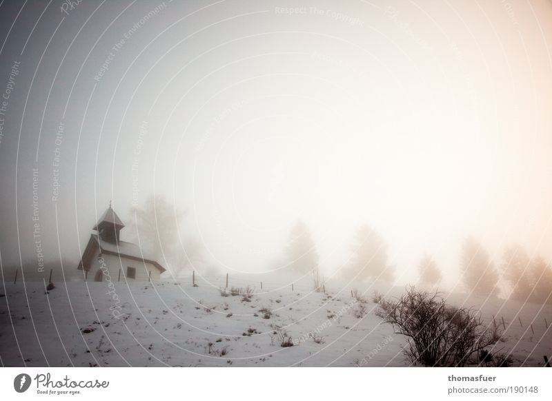 Frostgeister Ferien & Urlaub & Reisen Winter Schnee Winterurlaub Berge u. Gebirge Umwelt Landschaft Himmel Klima Wetter Nebel Eis Kirche frieren kalt braun weiß