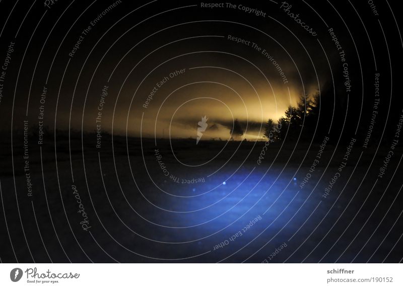 Kalte Erscheinung Landschaft Nachthimmel Winter Schnee dunkel gruselig kalt schön Baum Tanne Aussehen Eis glänzend Lichtstrahl Nebel Schatten Silhouette