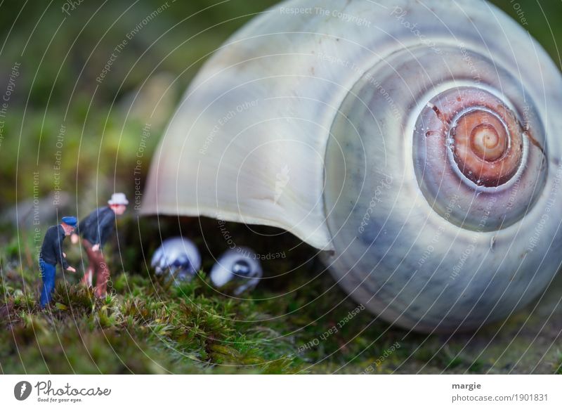 Miniwelten - Ungeheuer Gartenarbeit Landwirtschaft Forstwirtschaft Mensch maskulin 2 Pflanze Gras Moos Grünpflanze Tier Wildtier Schnecke 1 grau grün Neugier