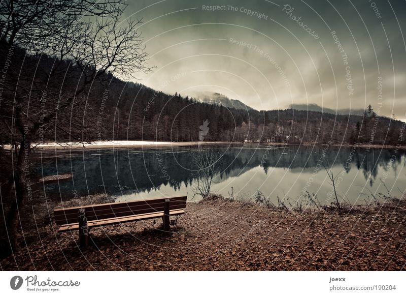 Rückzug II Natur Landschaft Wasser Himmel Wolken Herbst Winter Wetter Schnee Baum Sträucher Wald Berge u. Gebirge Teich See bedrohlich dunkel braun Stimmung